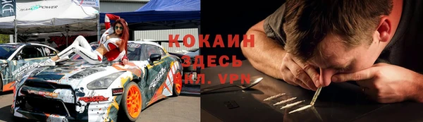 apvp Богородицк