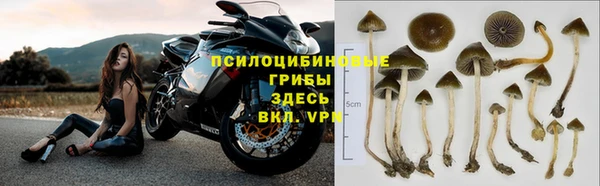 МДМА Богородск