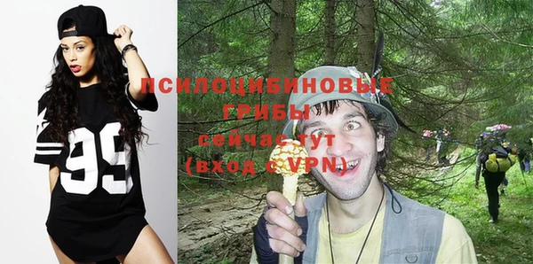 apvp Богородицк