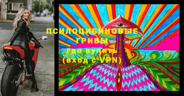 apvp Богородицк