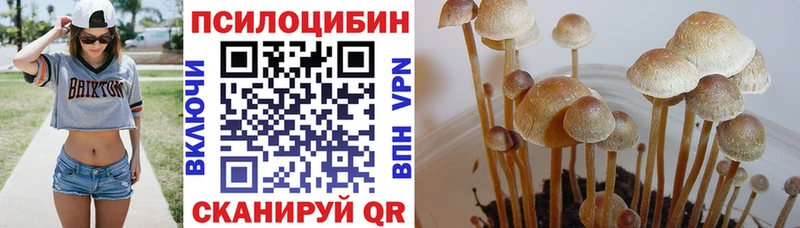 Псилоцибиновые грибы мухоморы  Купить закладки  Облучье 